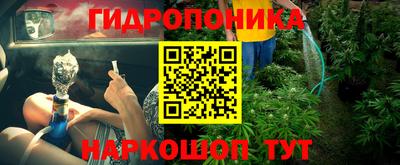 a pvp Шебекино