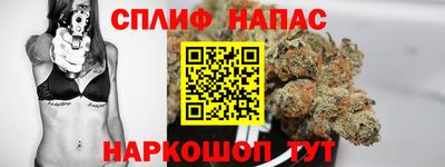 spice Шелехов