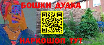 a pvp Шебекино